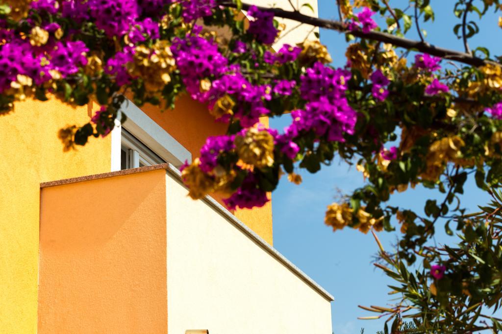 Apartments Villa Orange Zadar Exterior photo